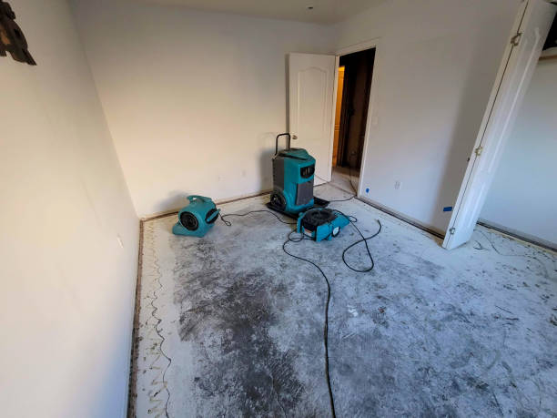 Best Emergency water damage restoration  in Logansport, IN