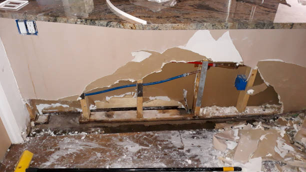 Best Mold removal after water damage  in Logansport, IN