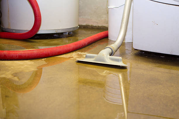 Best Flooded house restoration  in Logansport, IN