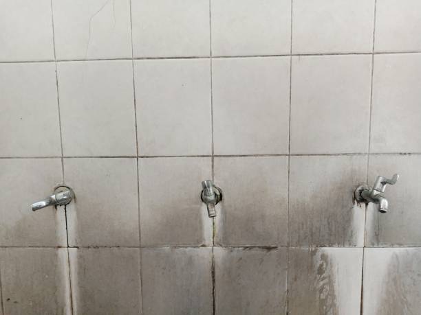 Best Water damage restoration cost  in Logansport, IN