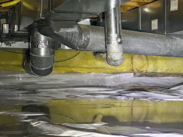 Best Ceiling water damage repair  in Logansport, IN