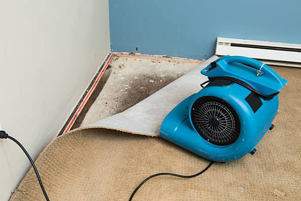 Best Water damage mitigation services  in Logansport, IN