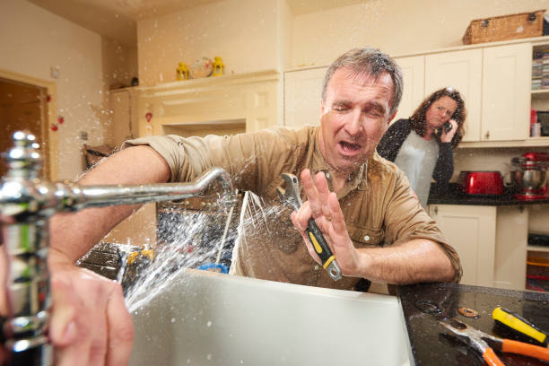 Best Water damage cleanup near me  in Logansport, IN